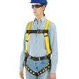 Workman Twin Buckle Standard Safety Harness