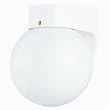 Westinghouse Light B 66945 Outdoor Fixture