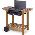Enders 8555 Lavastein-Gasgrill "Illinois Stone" 2-flammig