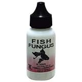 Fish Fungus 30 count