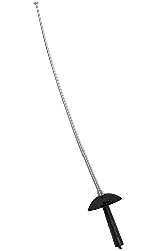Fencing Sword