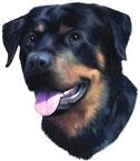 Rottweiler Bumper Magnet2008