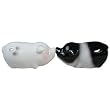 Mwah! Pigs Westland Giftware