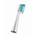 Health & Personal Care : WaterPik 20007887 Professional Advanced Toothbrushes - 2SRB-2W