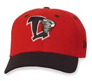 Lansing Lugnuts Road Cap by New Era