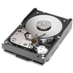 Fujitsu MBA3300RC 3.5-Inch 300GB SAS 15K RPM Hard Drive