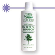 Daggett & Ramsdell Tea Tree Oil Shampoo
