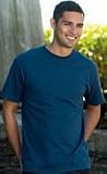 Beefy T-Shirt