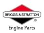 BRIGGS AND STRATTON 391070 CARBURETOR