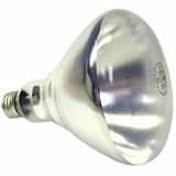 Shat-R-Shield Shatterproof Light Bulbs Infrared Heat Lamp, Clear, 2/Pk., 2/CS
