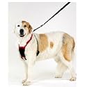 Non Pull Dog Harness - Stop Your Dog Pulling - Large