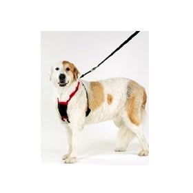 Non Pull Dog Harness - Stop Your Dog Pulling - Large
