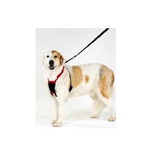 Non Pull Training Dog Harness (Size: Medium)