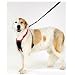 Non Pull Dog Harness - Stop Your Dog Pulling - Large
