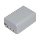 Casio NP-100 Rechargeable Replacement Camera Battery