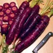 Purple Dragon Carrot 350 Seeds - Absolutely unique!
