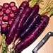 Purple Dragon Carrot 350 Seeds - Absolutely unique!