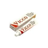 Vicco Toothpaste toothpaste by Vicco