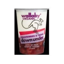 Wallaby Organic Strawberry and Cream Yogurt, 6 Ounce -- 12 per case. 