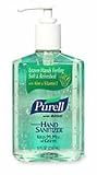 Purell Hand Sanitizer with Aloe - 1/Bottle
