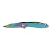 Kershaw (KER1660VIB) LEEK Rainbow Knife