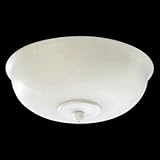Satin Opal Bowl Light Kit