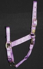 Hamilton 1-Inch Nylon Halter with Adjustable Chin, Lavender, Average Size 800 to 1100-Pound
