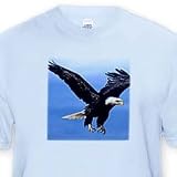 Bald Eagle - Toddler Light-Blue-T-Shirt (3T)