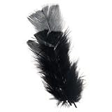 Black Feathers