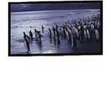 7FT Diagonal Accuscreens Ntsc Fixed Soundscreen Gray