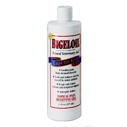 Bigeloil Liquid Gel Topical Pain Relief Gel - 14 Oz