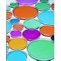 Economical Glass Petri Dishes