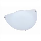 21pEuDCUAjL. SL160  Lite Source Ls 5392fro Shelley Flush Mount Lite Reviews