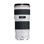 Canon EF 70-200mm f/4L USM Telephoto Zoom Lens for Canon SLR Cameras