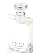 Bulgari Bulgari Homme - After Shave Lotion 100 ml Preisvergleich