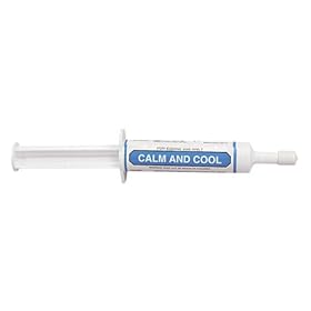  OralX Calm and Cool Paste
