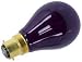 Kitchen & Housewares : 75W BLACKLIGHT LAMPS