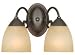 Hardware House 543827 Berkshire 12-1/4-Inch by 8-1/4-Inch Bath/Wall Lighting Fixture Oil Rubbed Bronze
