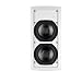 Tannoy IW62 TS