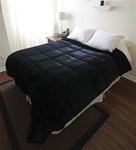 College Plush Comforter - Black
