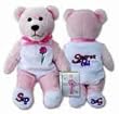 Secret Pal Holy Bear