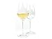 Kitchen & Housewares : Riedel Vinum Extreme Sauvignon Blanc Glasses, Set of 2
