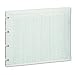 Wilson Jones G10-24 Green Columnar Sheets, Double Page Format, 24 Cols, 9-1/4X11-7/8, 100/Pk