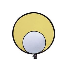Pro 22In Silver/Gold