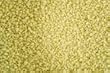 Semolina Couscous, Organic, 5 lbs. Bulk