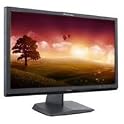 20" LCD Monitor