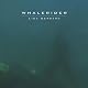 Lisa Gerrard - Whalerider (Vinyl) Import 2011