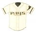 Tampa Bay Devil Rays Jersey Pin by Aminco