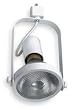 LumaPro 5TP81 Fixture, Track, 100 W