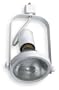 LumaPro 5TP81 Fixture, Track, 100 W